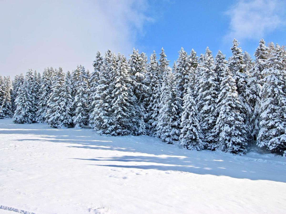Studio Cabine A Chamrousse, Rdc, Balcon Nord, Au Pied Des Pistes, Bien Equipe - Fr-1-340-274 Екстериор снимка
